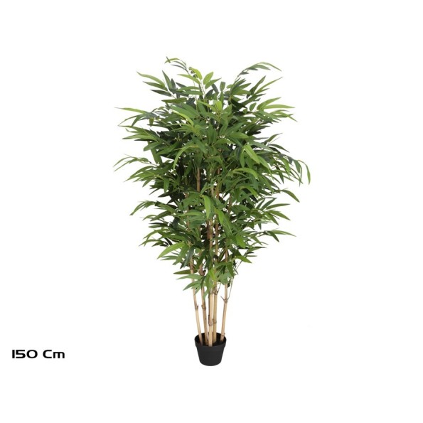 ARBOL BAMBU T/N BIG LVS X 6 - 150 CM