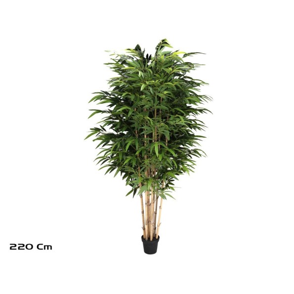 ARBOL BAMBU T/N BIG LVS X 8 - 220 CM