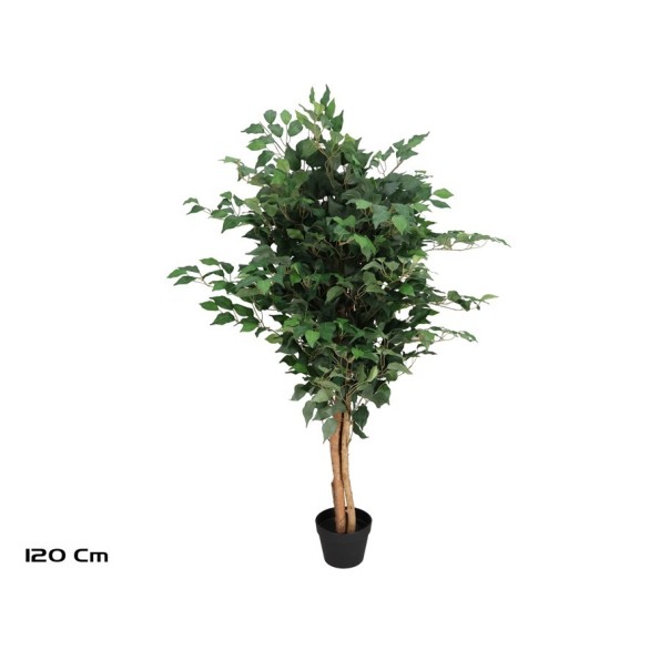 ARBOL FICUS NATUR T/N  -120 CM