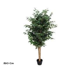ARBOL FICUS NATUR T/N  150 CM