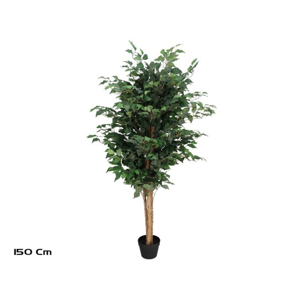 ARBOL FICUS NATUR T/N  150 CM