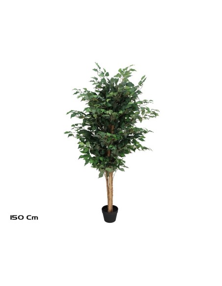 ARBOL FICUS NATUR T/N  150 CM