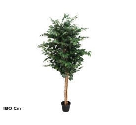ARBOL FICUS NATUR T/N 180 CM