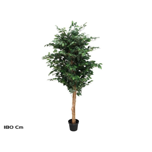 ARBOL FICUS NATUR T/N 180 CM