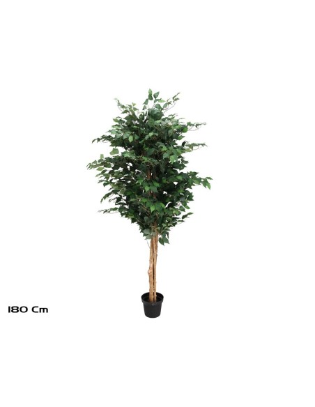 ARBOL FICUS NATUR T/N 180 CM