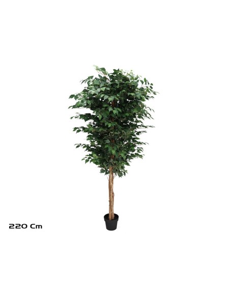 ARBOL FICUS  NATUR  T/N  - 220 CM