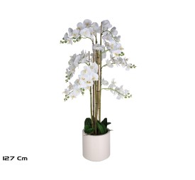 MACETA ORQUIDEAS X 84 R/T-127 CM (BL)