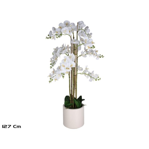 MACETA ORQUIDEAS X 84 R/T-127 CM (BL)