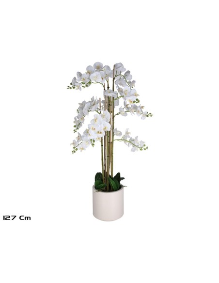 MACETA ORQUIDEAS X 84 R/T-127 CM (BL)