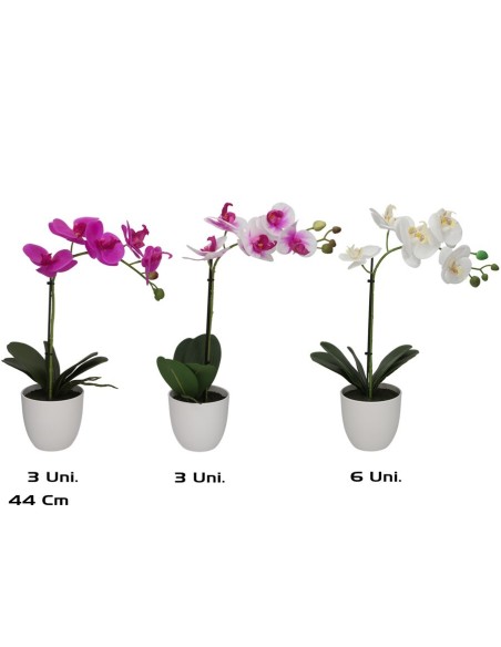 MACETA ORQUIDEAS X 5 R/TOUCH-44 CM (S)