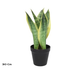 MACETA SENSEVERIA X 6 C/PIEDRAS 30 CM