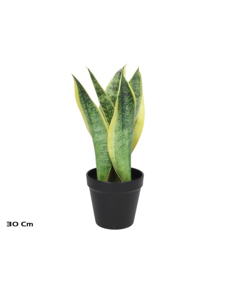 MACETA SENSEVERIA X 6 C/PIEDRAS 30 CM