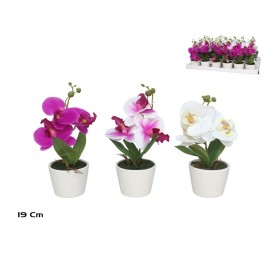 MACETA ORQUIDEAS X 3 R/TOUCH-19 CM (S)