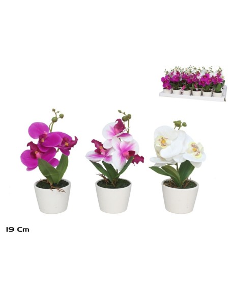 MACETA ORQUIDEAS X 3 R/TOUCH-19 CM (S)