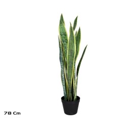 MACETA SENSEVERIA X 15 C/PIEDRAS 78 CM