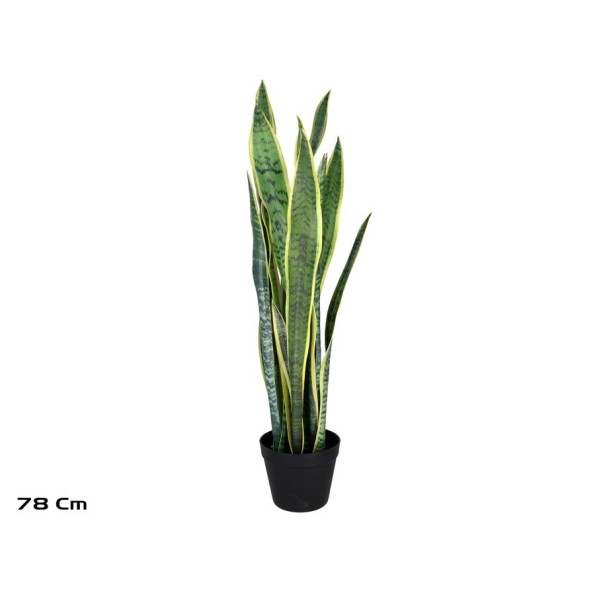 MACETA SENSEVERIA X 15 C/PIEDRAS 78 CM