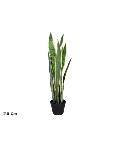 MACETA SENSEVERIA X 15 C/PIEDRAS 78 CM