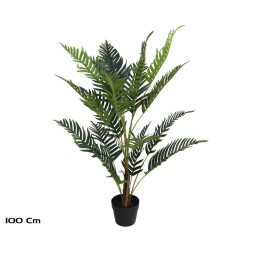 PLANTA PALMERA ARECA X 18 - 100 CM