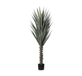 PLANTA DE AGAVE 160 CM / 78 HOJAS