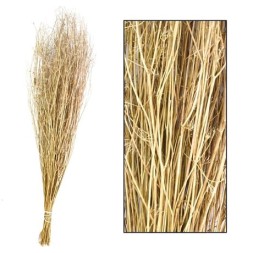CORIANDER GRASS 60-65cm 50gr