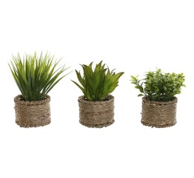 PLANTA PE FIBRA 12X12X18 3 SURT.