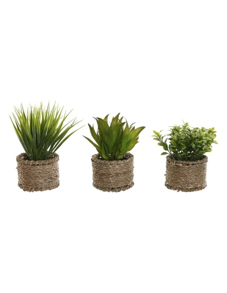 PLANTA PE FIBRA 12X12X18 3 SURT.