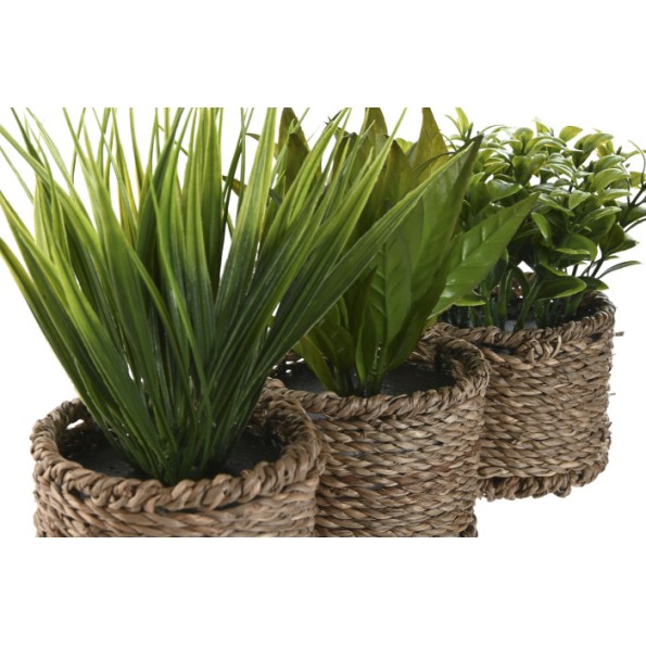 PLANTA PE FIBRA 12X12X18 3 SURT.