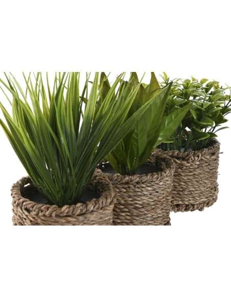 PLANTA PE FIBRA 12X12X18 3 SURT.