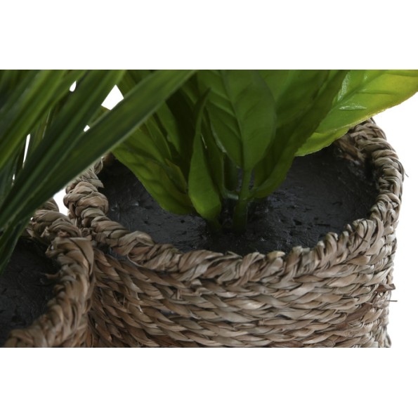 PLANTA PE FIBRA 12X12X18 3 SURT.