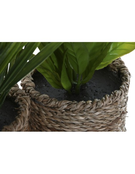 PLANTA PE FIBRA 12X12X18 3 SURT.