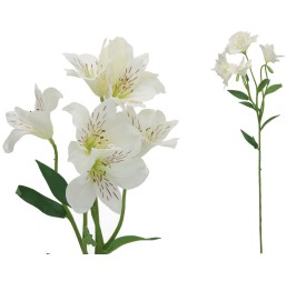 VARA ASTROMELIA X 6 - 62 CM (BLANCO)