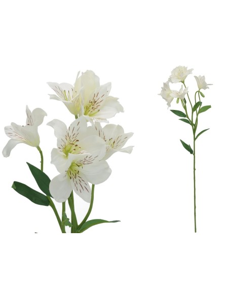 VARA ASTROMELIA X 6 - 62 CM (BLANCO)