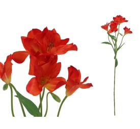 VARA ASTROMELIA X 6 - 62 CM (TE)