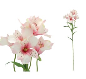 VARA ASTROMELIA X 6 - 62 CM (ROSA)