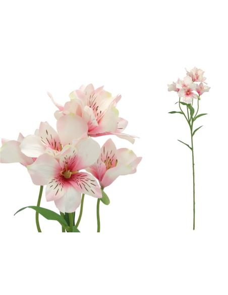 VARA ASTROMELIA X 6 - 62 CM (ROSA)