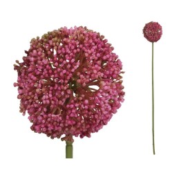 VARA ALLIUM - 60 CM (FUCSIA)