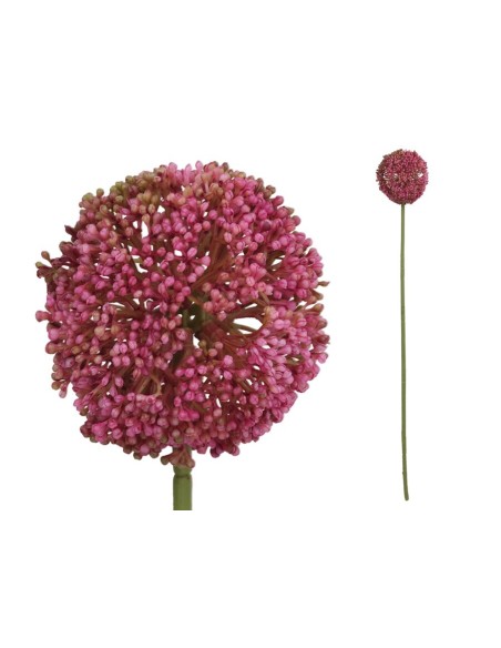 VARA ALLIUM - 60 CM (FUCSIA)