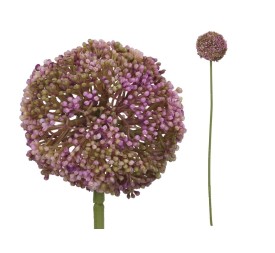 VARA ALLIUM - 60 CM (VIOLETA)
