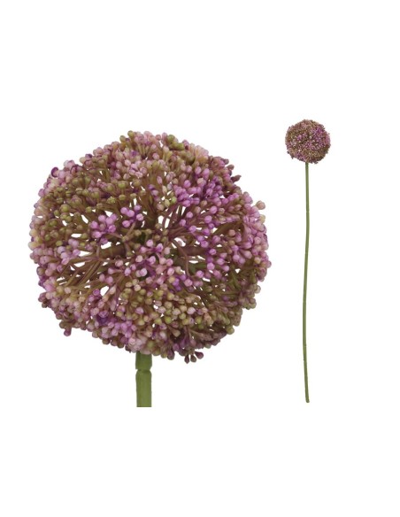 VARA ALLIUM - 60 CM (VIOLETA)