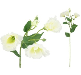 VARA LISIANTHUS X 4 - 62 CM (BLANCO)