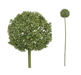 VARA ALLIUM - 60 CM (VERDE)