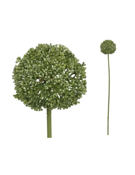 VARA ALLIUM - 60 CM (VERDE)