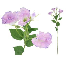 VARA LISIANTHUS X 4 - 62 CM (VIOLETA)