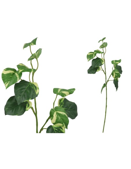 VARA HOJAS DE POTUS - 71 CM