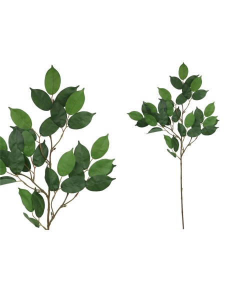 VARA FICUS NATUR  - 84 CM