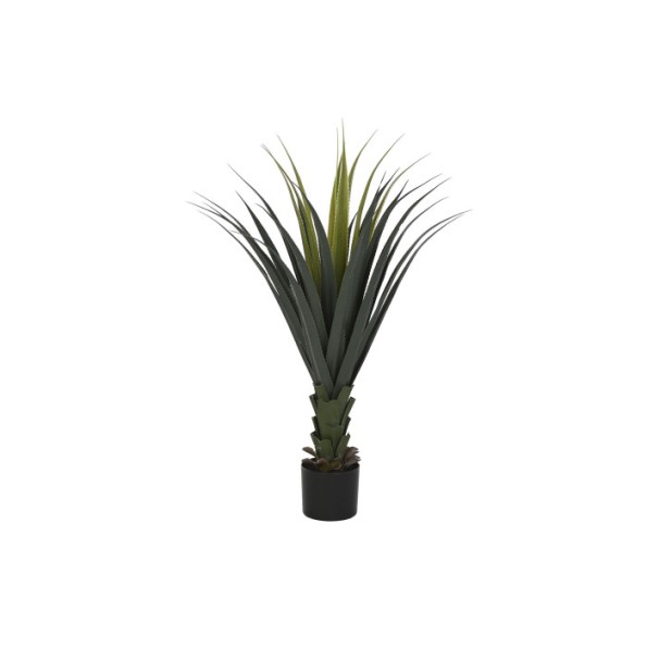 PLANTA PE 45X45X100 AGAVE VERDE