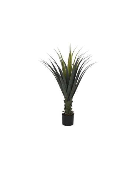 PLANTA PE 45X45X100 AGAVE VERDE