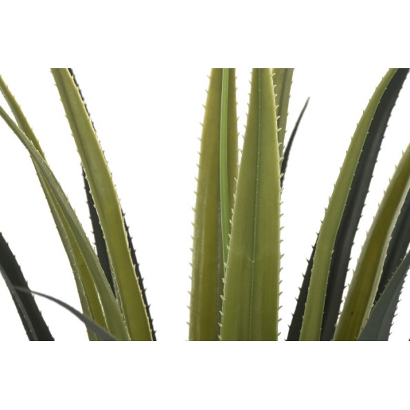 PLANTA PE 45X45X100 AGAVE VERDE