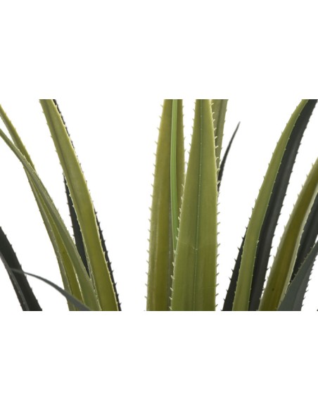 PLANTA PE 45X45X100 AGAVE VERDE