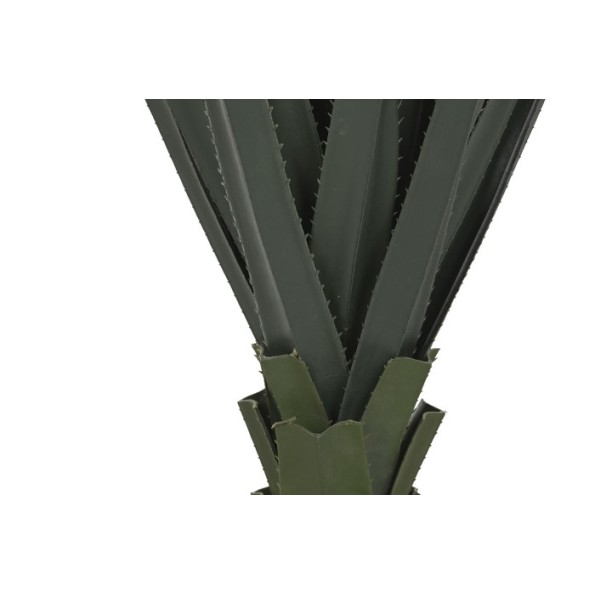 PLANTA PE 45X45X100 AGAVE VERDE